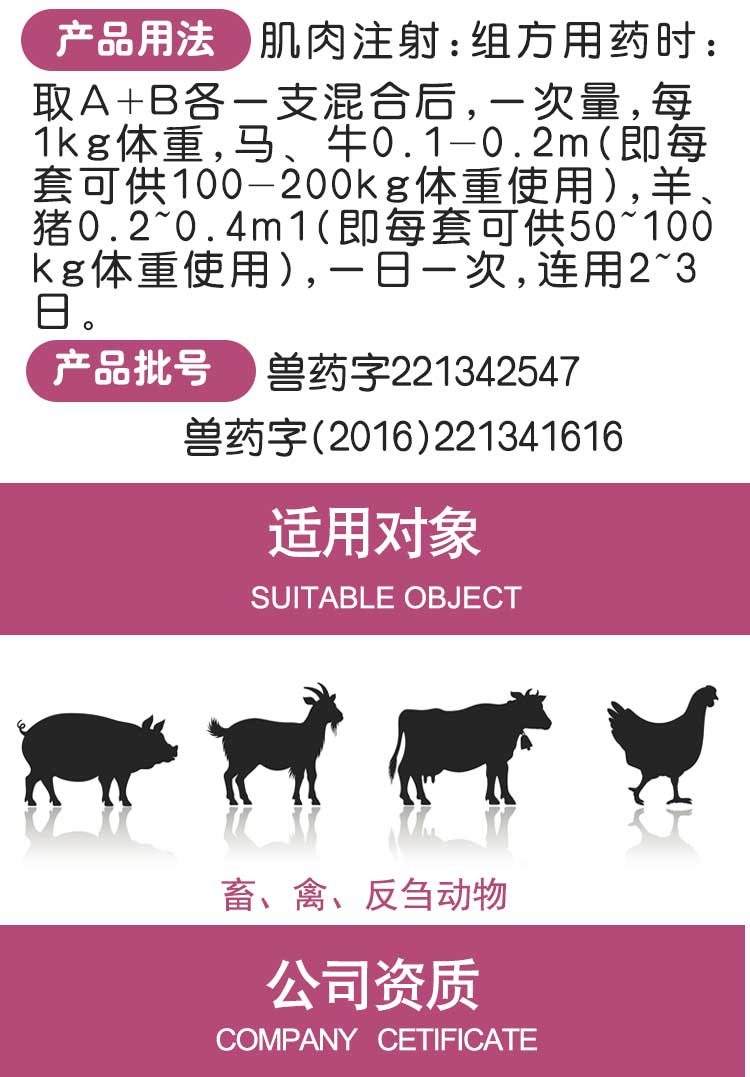 混感咳喘专治A+B_04.jpg