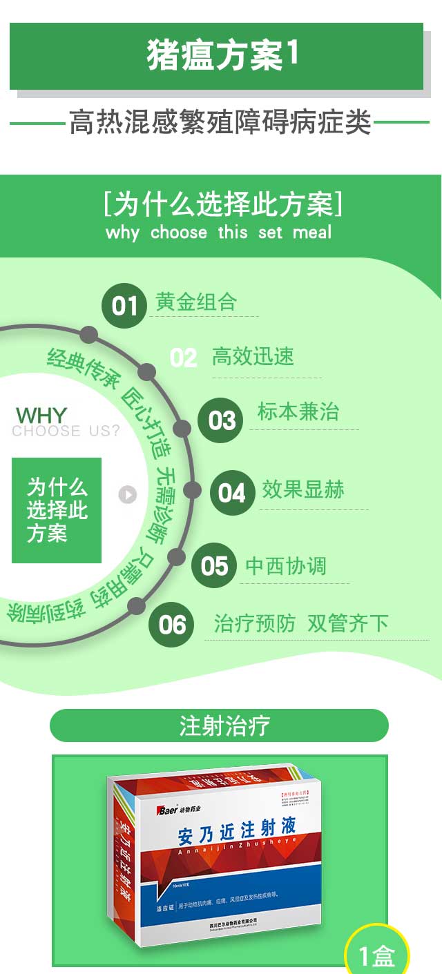 猪瘟方案1_01.jpg