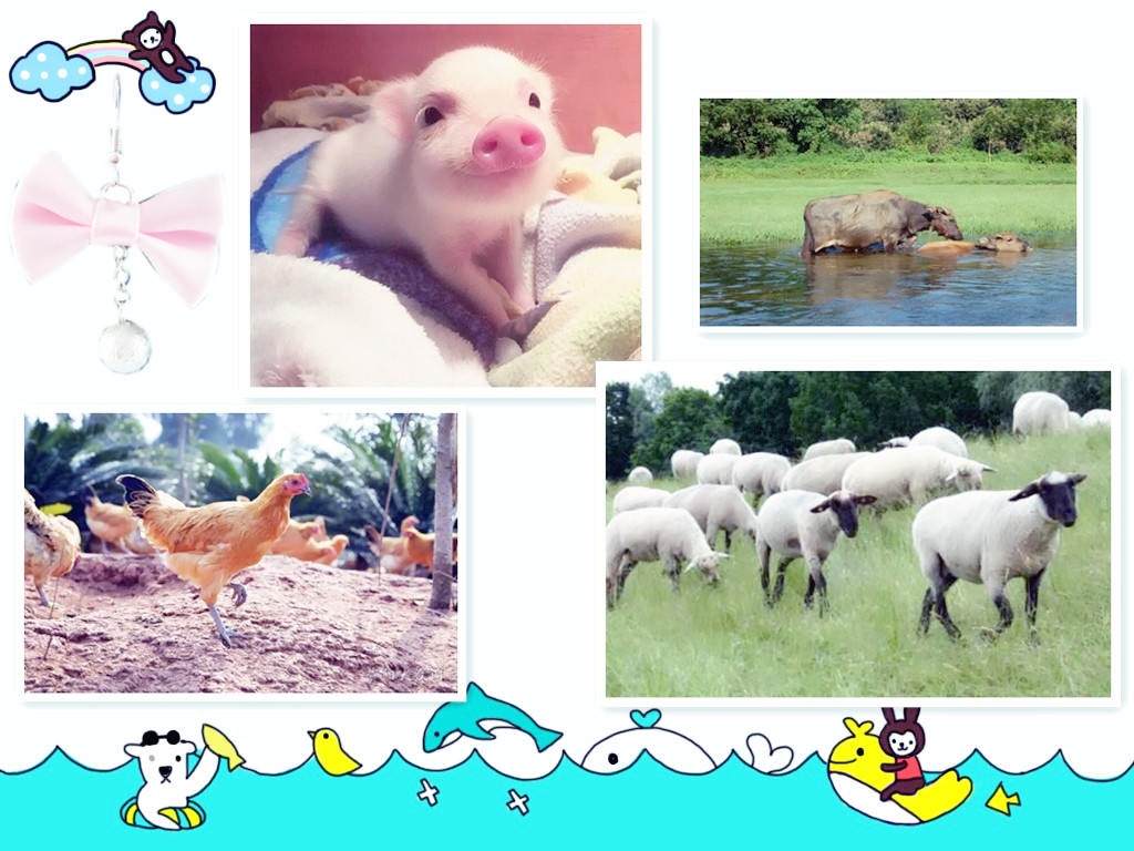 601dc6dd211bd7e8eca9c69109672da.jpg